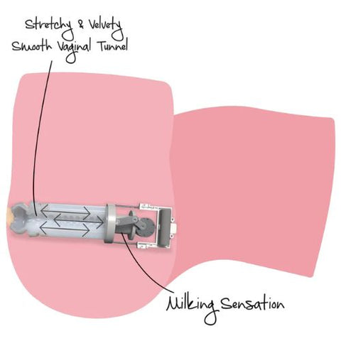 Bangers Big Ass Milking Bitch Masturbator Light Skin Tone from Nice 'n' Naughty