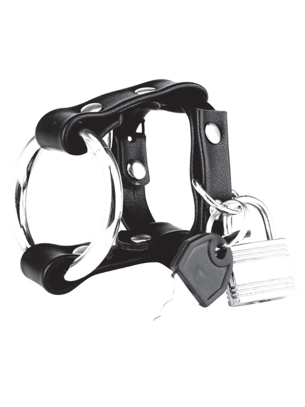 Blue Line Metal Cock Ring With Locking Ball Strap Black from Nice 'n' Naughty