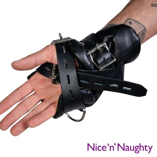 Nice 'n' Naughty Apex 4 Buckle Suspension Cuff from Nice 'n' Naughty