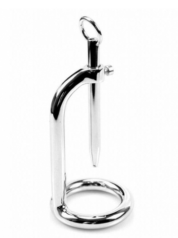 Nice 'n' Naughty Chastity Ring w Penis Stick Stainless Steel from Nice 'n' Naughty