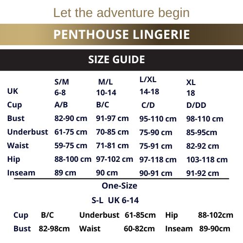 Penthouse Size Chart from Nice 'n' Naughty 1